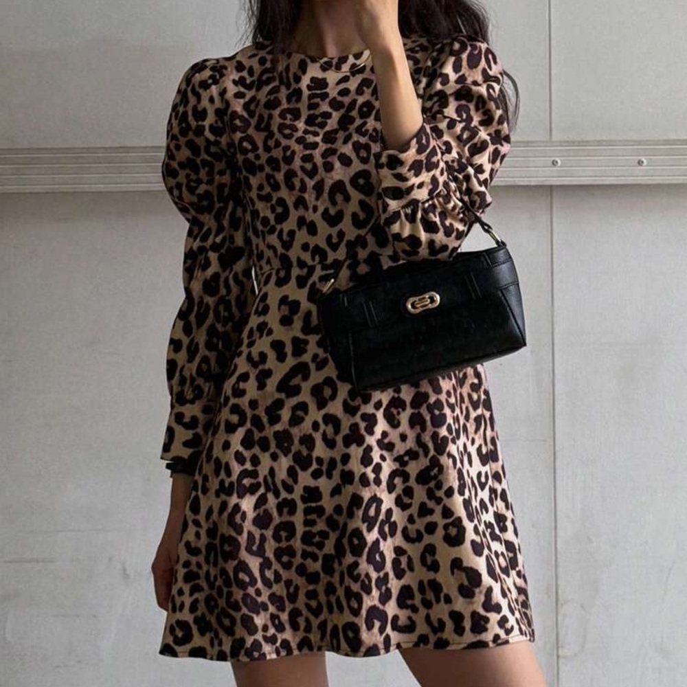 Chic Leopard Print Dress with Long Sleeves